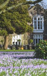Newport Hotel The Priory