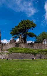 Laugharne Castle, Carmarthen