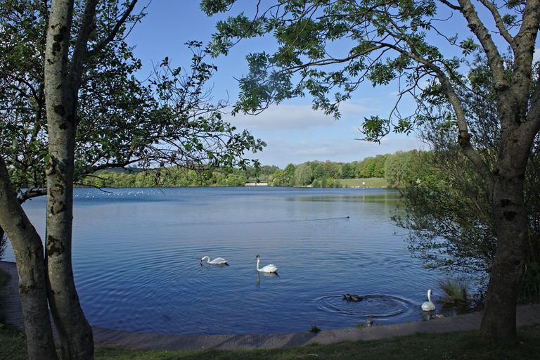 Cosmeston Lakes Country Park