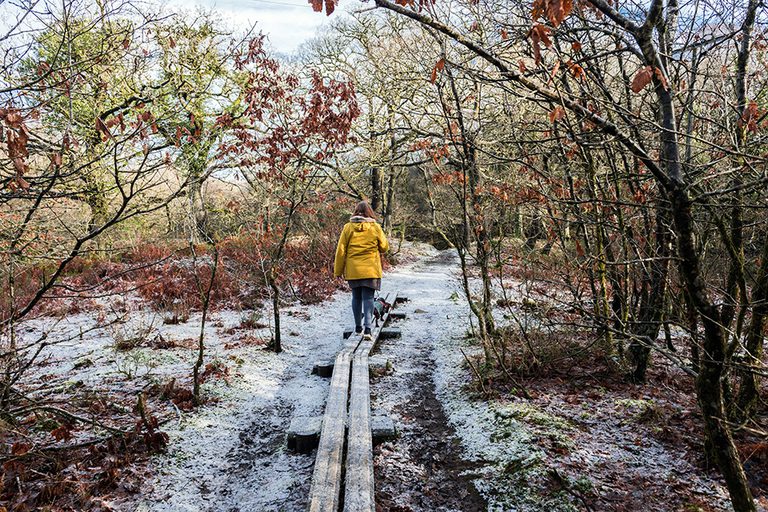 Peaceful Winter Walks, Brecon Beacons