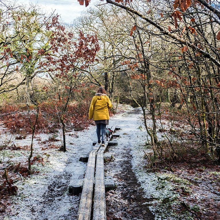 Peaceful Winter Walks, Brecon Beacons
